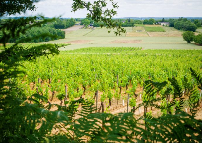 le_fascinant_week_end_2023_touraine_nature_credit_photo_ottn_lucie_mach